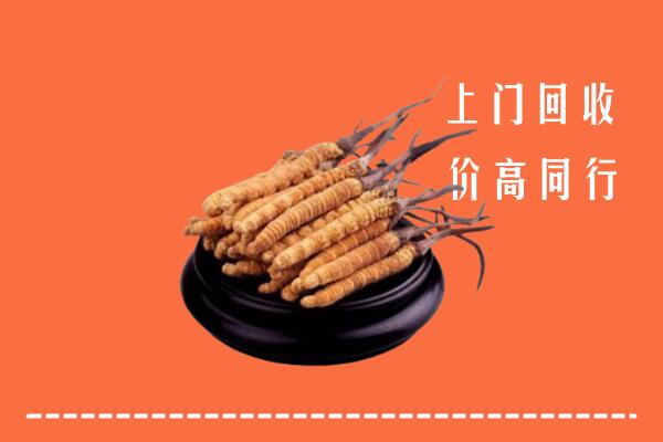 附近收购：高陵区冬虫夏草回收多少钱每克